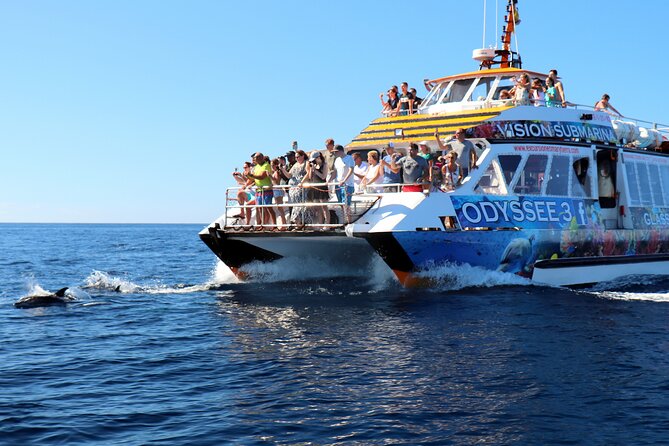 Odyssee 3: The Glass Bottom Boat Tour in Fuerteventura - Water Activities and Water Slide Fun
