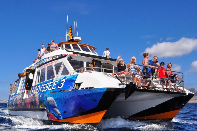 Odyssee 3: The Glass Bottom Boat Tour in Fuerteventura - Wildlife Encounters and the Special Marine Environment