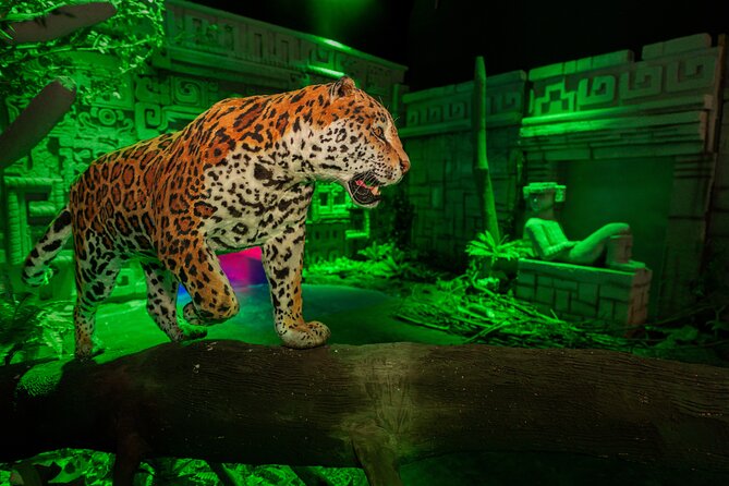 Odyssey Mexico - Immersive Experience in Mexico City - The View at Miyana and Nearby Amenities