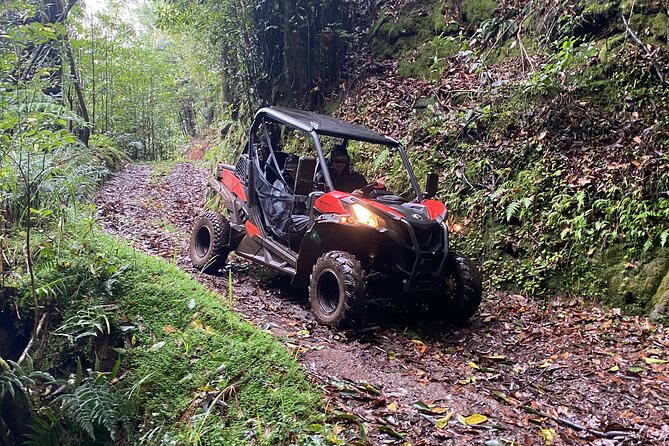 Off-Road Buggy Driving Experience - Safety and Practical Tips for the Buggy Tour