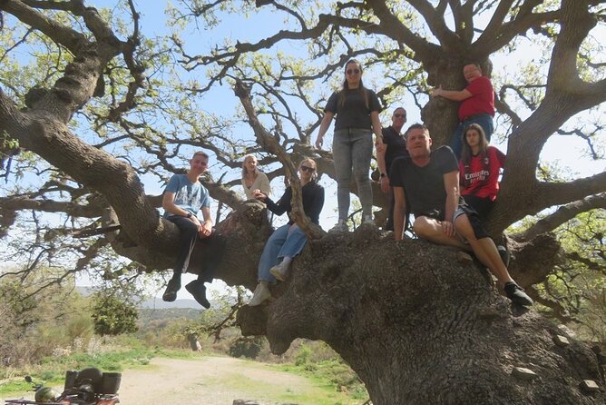 Off-road Buggy Safari in Crete with a Guide - Exploring Crete’s Archaeological Heritage at Malia Palace