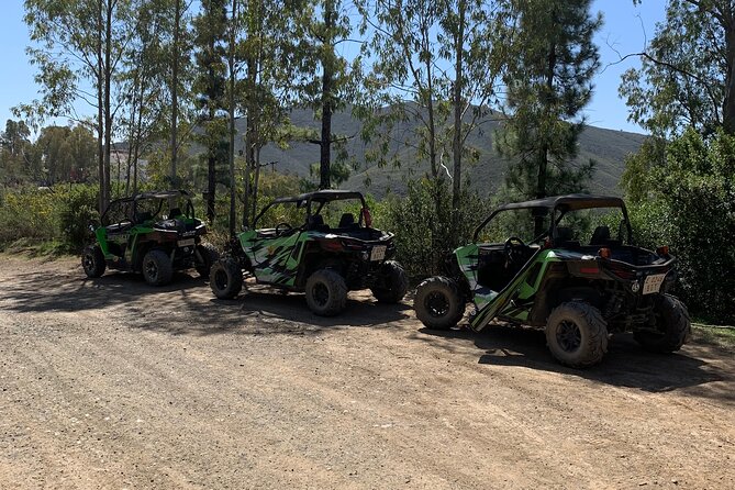 Off-road buggy tour Sierra de Mijas buggy 2h - Who Should Book the Sierra de Mijas Buggy Tour?