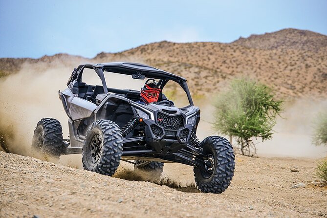 Off-Road Cabo Adventure: Desert & Beach Ride Plus Tequila Tasting - Key Points