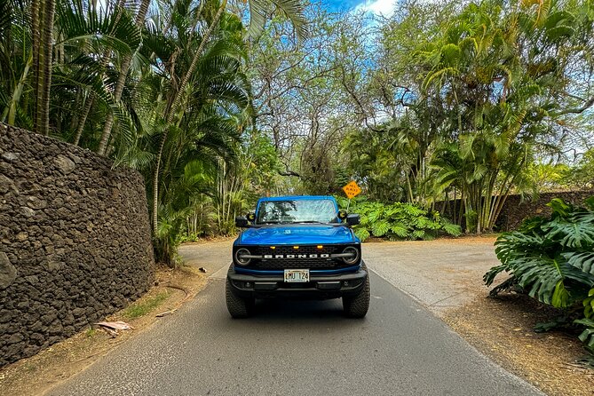 Off Road Coastal Tour 4x4 Vehicle With Snorkel, Photo and Video - The Guide Experience and Tour Equipment