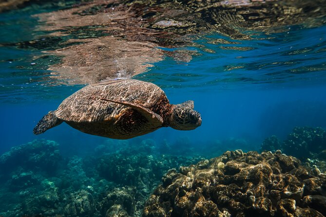 Off Road Coastal Tour 4x4 Vehicle With Snorkel, Photo and Video - Meeting and Departure Details