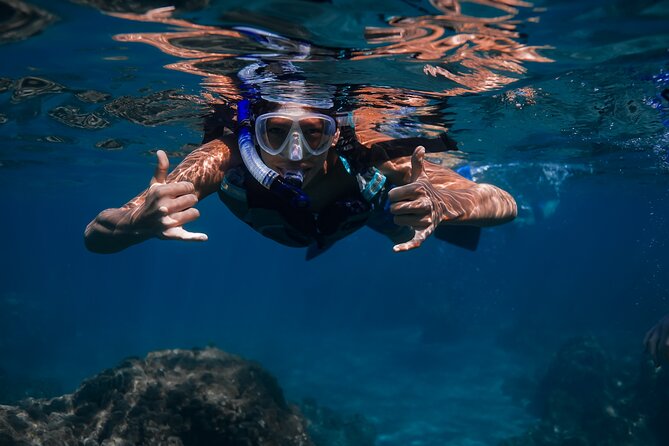 Off Road Coastal Tour 4x4 Vehicle With Snorkel, Photo and Video - Value and Overall Experience