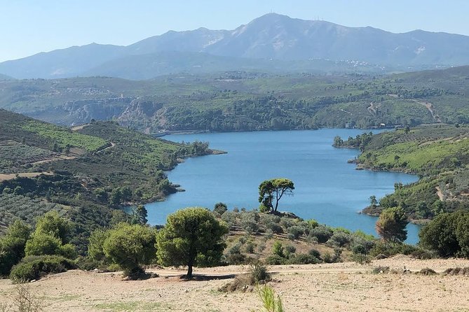 Off road experience at the roads of wine - Tasting Greek Wines and Balsamic Vinegar at the Winery