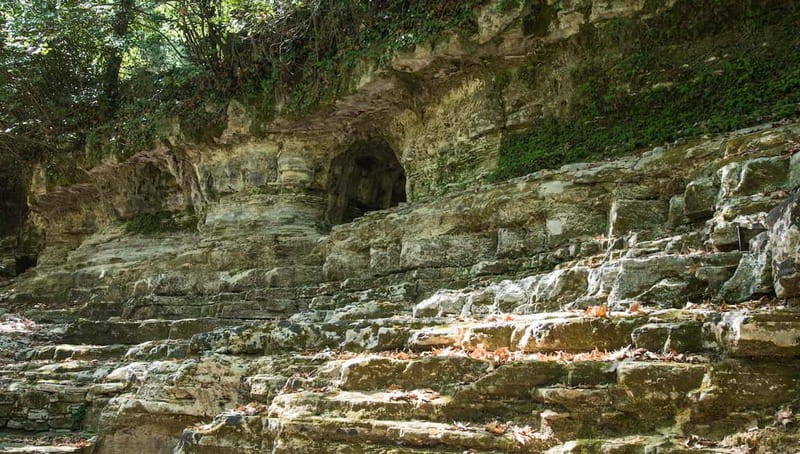 Off-Road: Natural Lake, Mountain Gorges, Palm Forest & Beach - Key Points