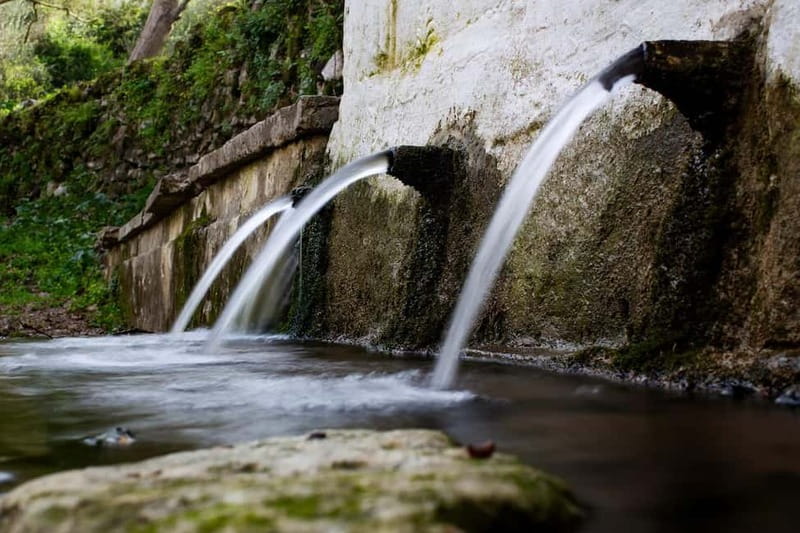 Off-Road: Natural Lake, Mountain Gorges, Palm Forest & Beach - Scenic Drive through Kournas Village and Azilakas Forest