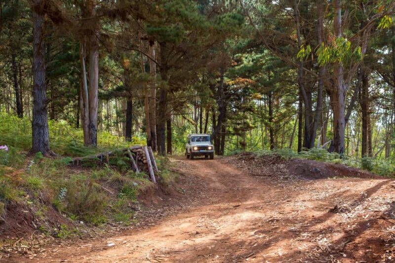 Off-Road Nun's Valley & Sea Cliff Jeep Safari - Breathe in Laural Forests at Boca Namorados