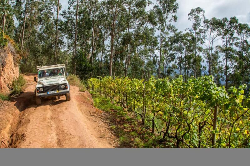 Off-Road Nun's Valley & Sea Cliff Jeep Safari - The Experience in a Nutshell
