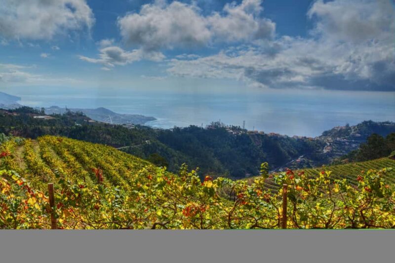 Off-Road Nun's Valley & Sea Cliff Jeep Safari - Frequently Asked Questions