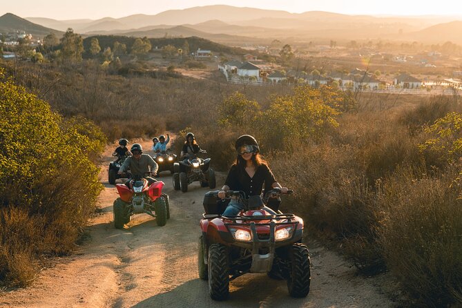 Off Road Tour Experience plus Winery visit in Baja - Don Tomas Vineyards: Wine Tasting and Relaxation