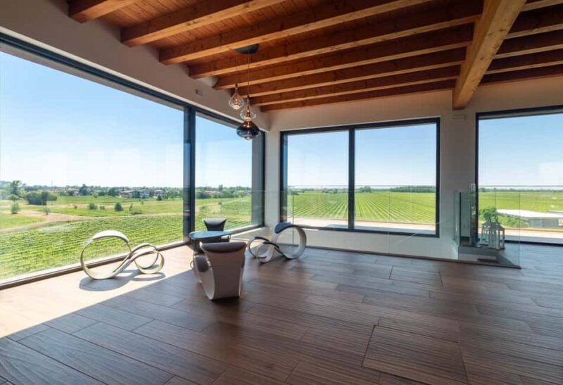 Off-road tour through vineyards and organic wine tasting at Villa Bogdano 1880 - Key Points