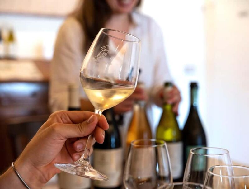 Off-road tour through vineyards and organic wine tasting at Villa Bogdano 1880 - Inside the Historic Winery Cellar