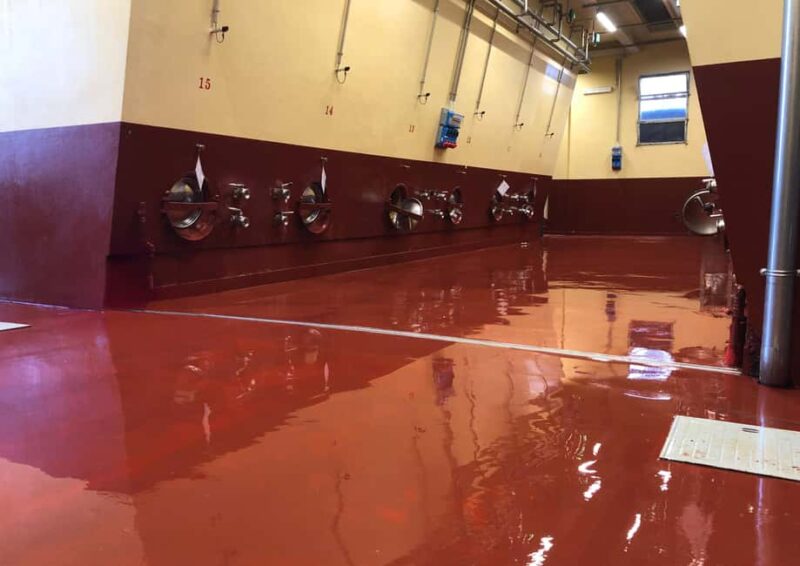 Off-road tour through vineyards and organic wine tasting at Villa Bogdano 1880 - Tasting Organic Wines from Old Vines