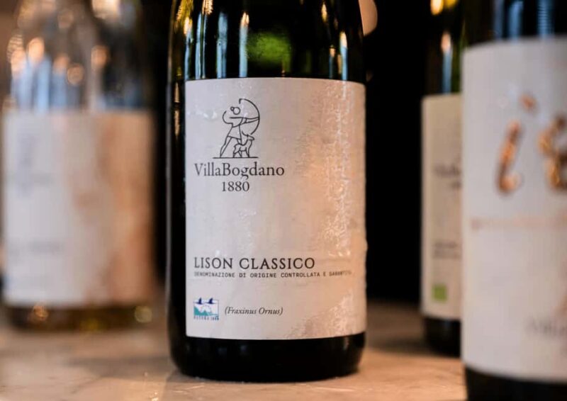 Off-road tour through vineyards and organic wine tasting at Villa Bogdano 1880 - What Sets This Tour Apart