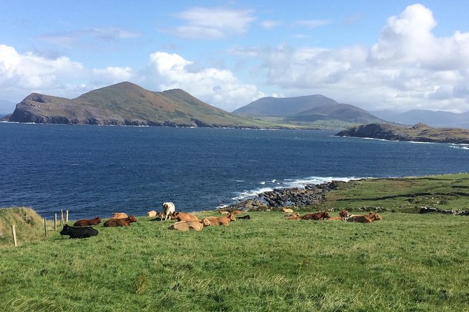 Off the beaten Path Private Tour of Ring of Kerry - Relaxing at Ballinskelligs Beach