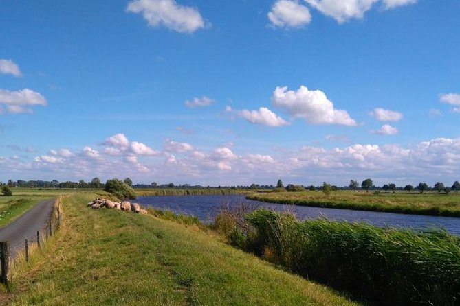 Off the beaten paths Dutch Country Side Private Tour in Jaguar - Waterland: Nature and Birdwatching Paradise