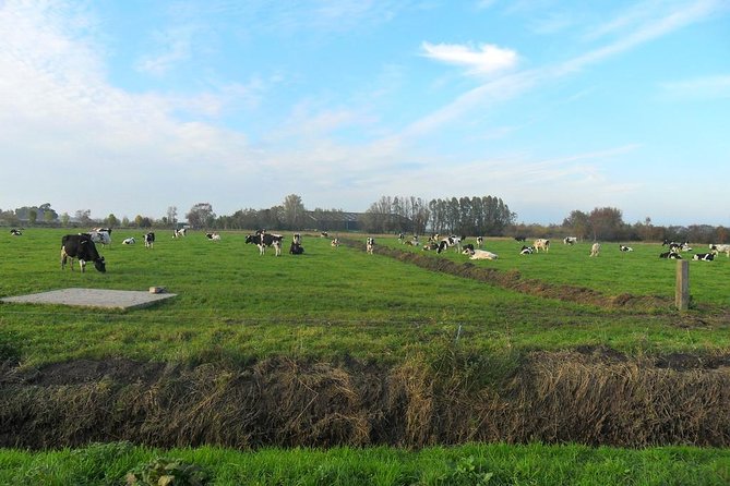 Off the Beaten Paths Dutch Landscape Private Tour 1/2 day Jaguar - Edam: The World-Famous Cheese Town