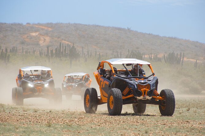 Off to Road Cabo San Lucas Adventure - The Dune Riding and Beach Exploration Experience