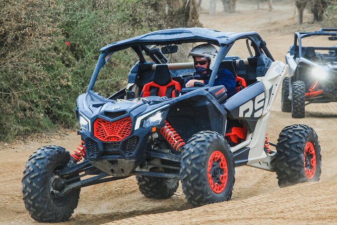 Off to Road Cabo San Lucas Adventure - The Ending and Tequila Tasting: A Baja Celebration