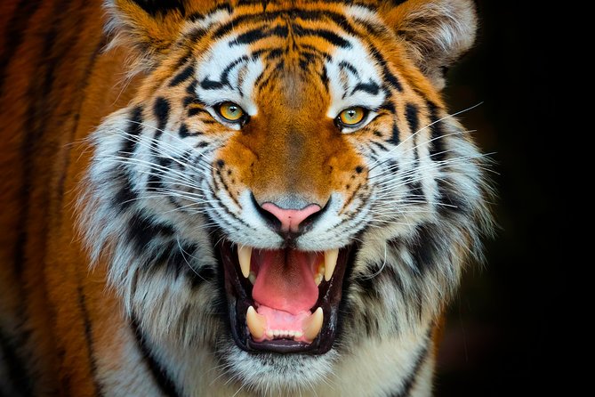 Offer Summer Terra Natura entrance ticket - Discover the Benefits of Booking the Summer Terra Natura Entrance Ticket