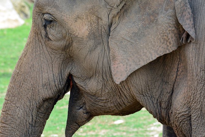 Offer Summer Terra Natura entrance ticket - The Concept of Zooimmersion at Terra Natura