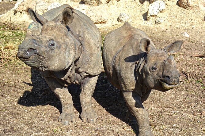 Offer Summer Terra Natura entrance ticket - The Review of Signage and Navigation Challenges