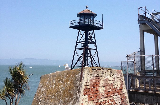 Official Alcatraz Tour with Golden Gate Bridge Bay Cruise - The Experience for Different Types of Visitors