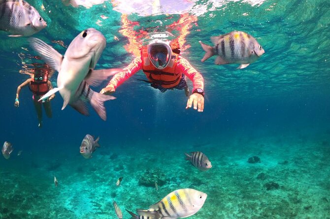 Official Chankanaab Beach Park Day pass with Lunch included - Chankanaab Beach Park: A Tropical Playground with Rich Attractions