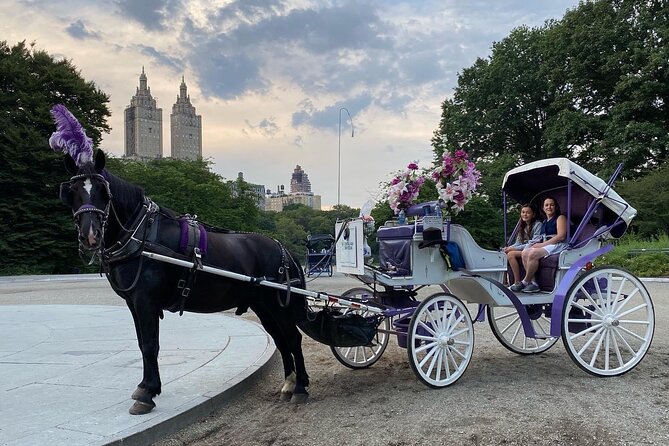 OFFICIAL NYC Central Park Horse Carriage Rides - Key Landmarks and Photo Opportunities During the Ride