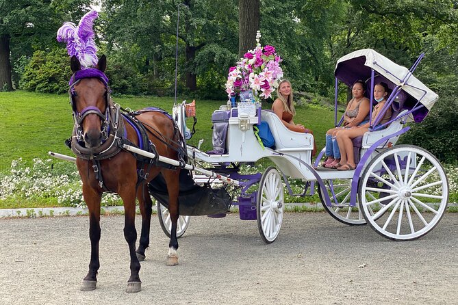 OFFICIAL NYC Central Park Horse Carriage Rides - The Unique Experience of Movie and TV Show Filming Locations
