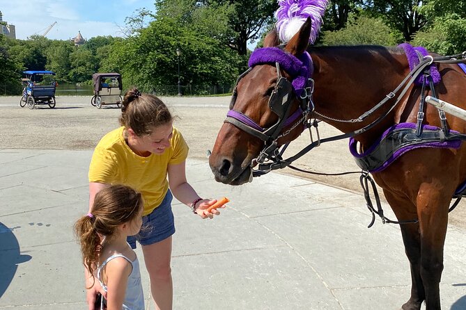 OFFICIAL NYC Central Park Horse Carriage Rides - Who Will Love This Tour?