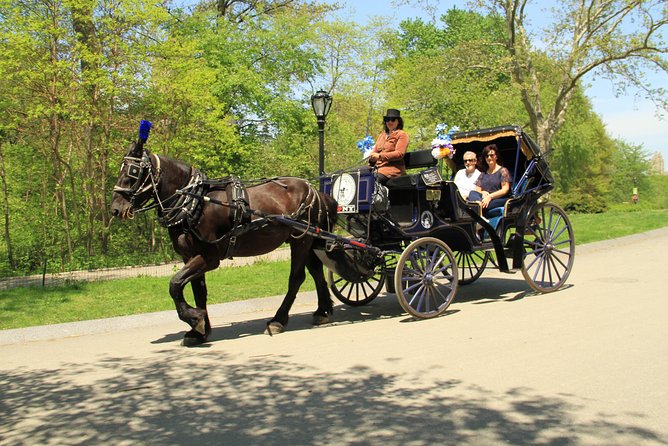 Official NYC Horse Carriage Rides in Central Park since 1979 - Experience the Charm of Central Park with a Private Horse Carriage Ride