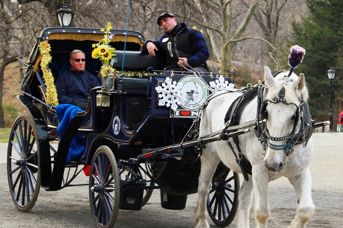 Official NYC Horse Carriage Rides in Central Park since 1979 - The Unique Experience of Feeding the Horse and Cozy Comforts