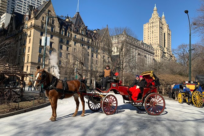 Official NYC Horse Carriage Rides in Central Park since 1979 - The Role of the Guide and Tour Personalization