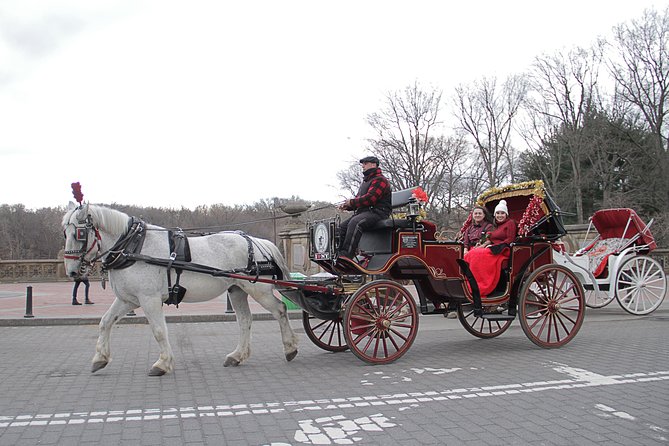 Official NYC Horse Carriage Rides in Central Park since 1979 - Pacing, Timing, and Crowd Levels