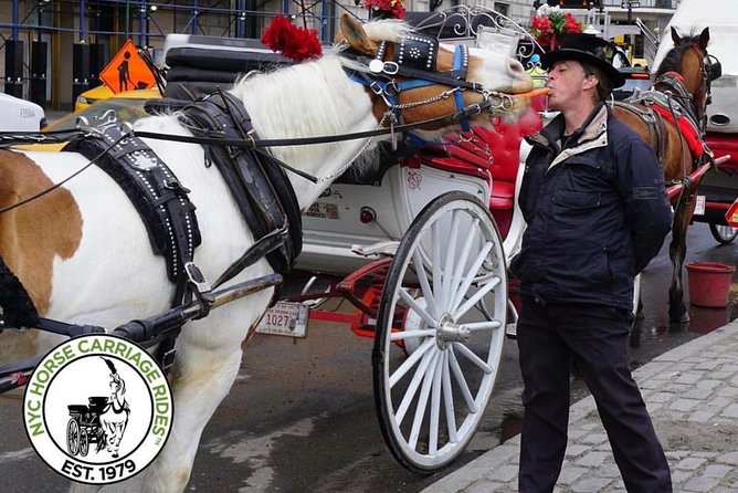 Official NYC Horse Carriage Rides in Central Park since 1979 - Accessibility, Weather, and Practical Tips