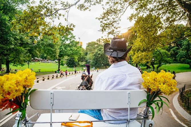 Official Private New York City Central Park Horse Carriage Ride Since 1965 - Comfort and Practical Details