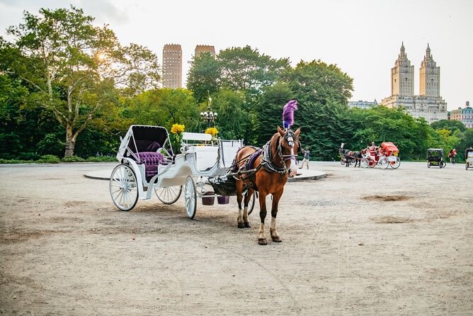 Official Private New York City Central Park Horse Carriage Ride Since 1965 - Customer Feedback and Typical Experiences