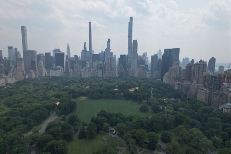 Official VIP Whole Central Park Horse Carriage Tour - Discover Central Park’s Iconic Landmarks on a Luxury Carriage Ride