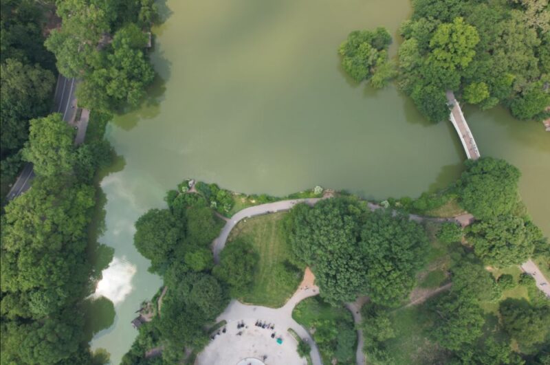 Official VIP Whole Central Park Horse Carriage Tour - Expertise and Personalization from Knowledgeable Guides