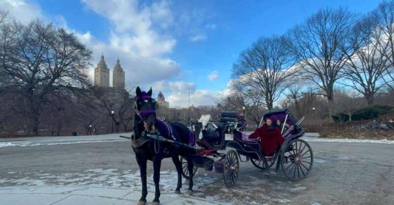 Official VIP Whole Central Park Horse Carriage Tour - Comparing This Tour to Other Central Park Experiences