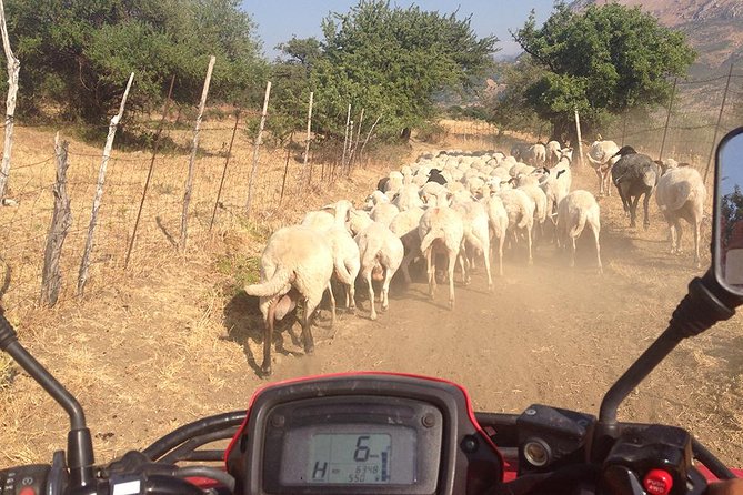 Offroad Cefalù Quad Tour - Logistic Details: Meeting Point and Group Size