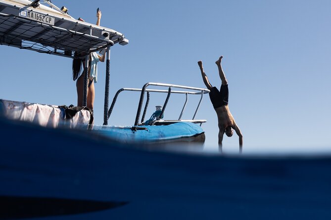 Offshore Safari Adventure in Kona with Underwater Videos - Discover Kona’s Marine Wonders with an Offshore Safari