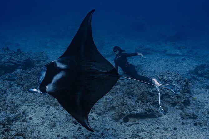 Offshore Safari Adventure in Kona with Underwater Videos - Reviews Highlight the Experience’s Strengths