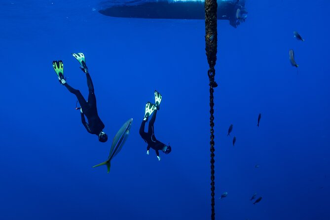 Offshore Safari Adventure in Kona with Underwater Videos - Practical Tips for a Memorable Trip