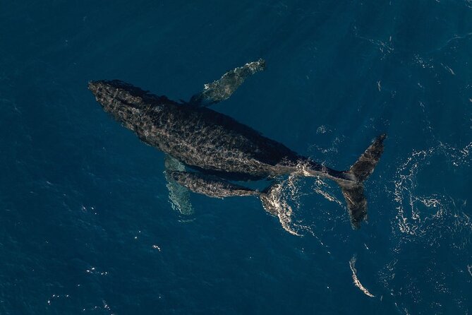 Ohana Doors-On Tour - The Experience with Air Kauai Helicopters