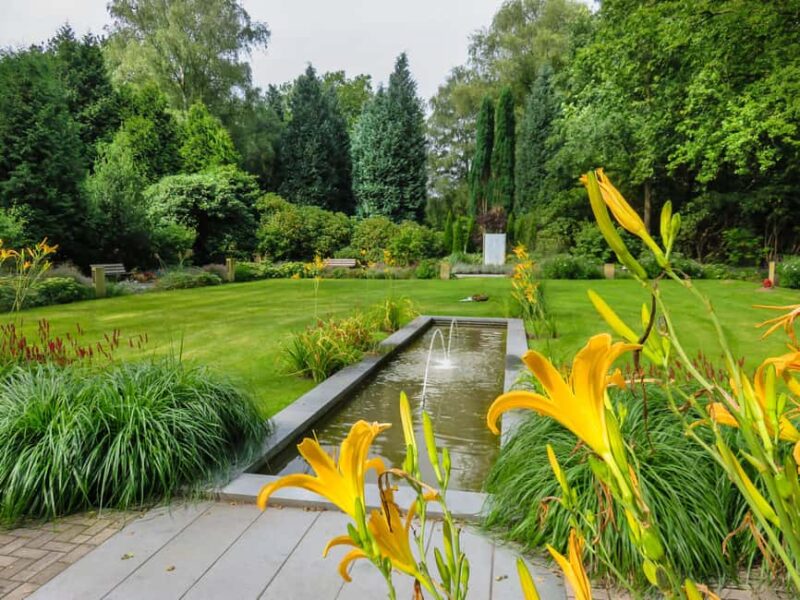 Ohlsdorf Cemetery: 1.5-hour individual guided tour - Exploring the 140-Year-Old Cemetery: An Open-Air History Book